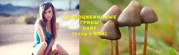 трава Баксан
