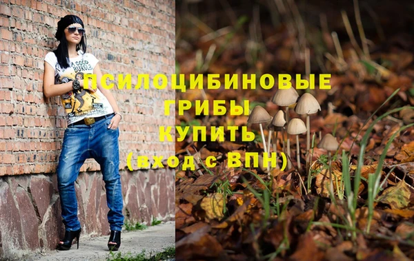 Альфа ПВП Балахна